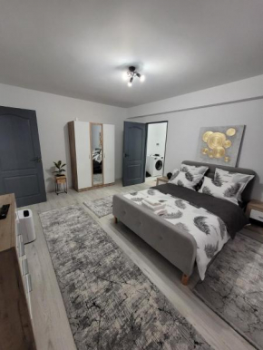 Apartament cu 1 camera -ANA